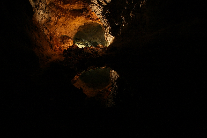 Kanary_2010 350